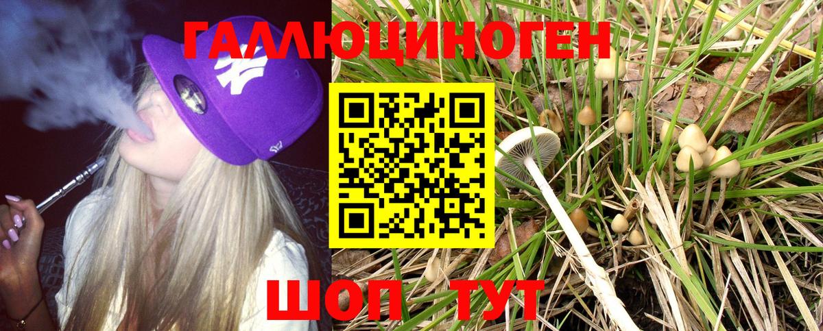 Псилоцибиновые грибы MAGIC MUSHROOMS Озёрск